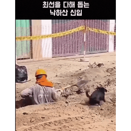 1000003173.gif